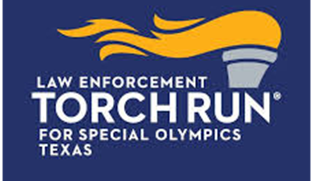 torch run