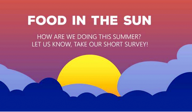 dining survey-food-in-sun