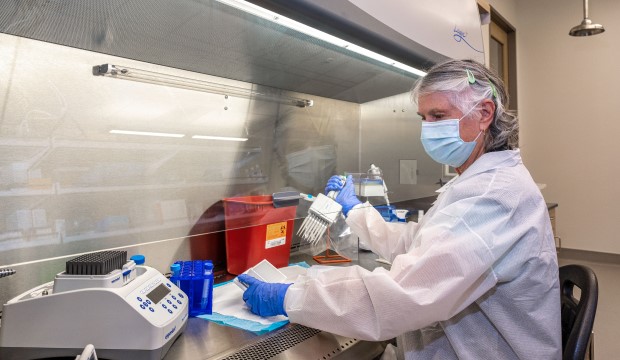 Lab technician at North Texas Genome Center handles covid testing kit.