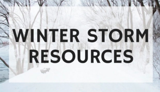 Winter Storm Resources