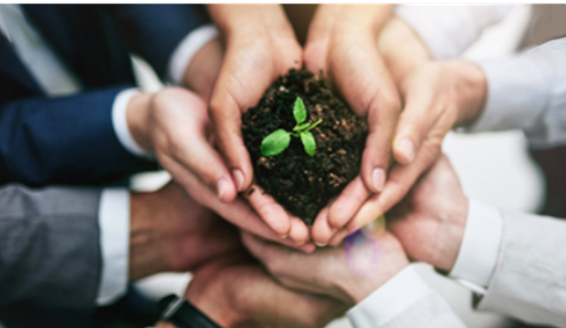 Hands together with one holding dirt and a seedling