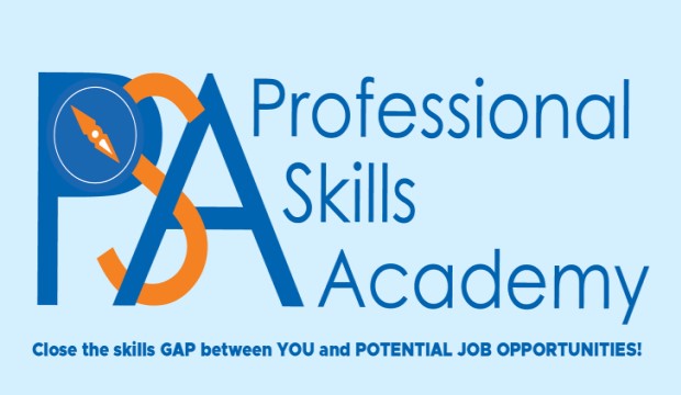 Professional Skills Academy