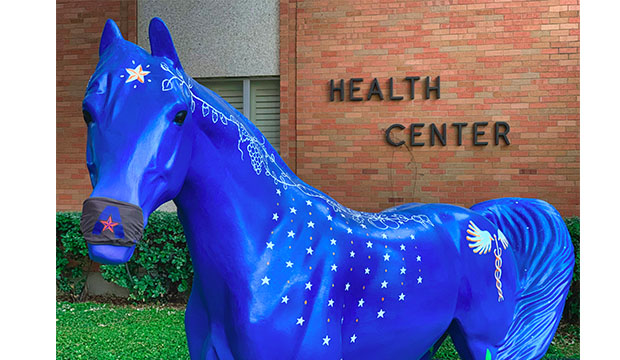 Harmony, UTA's new spirit horse, painted blue with the medical symbol on its flank.