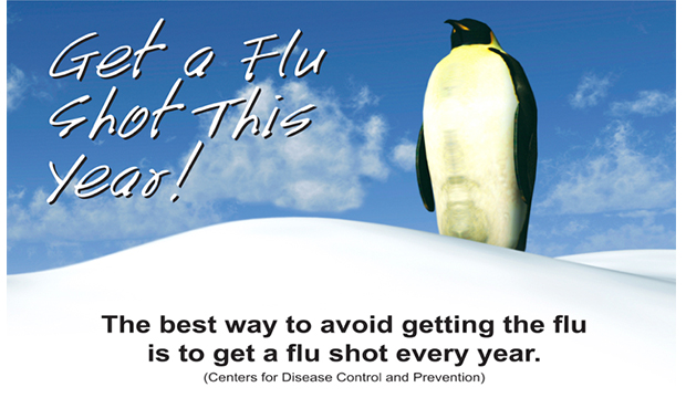 Get a Flu Shot This Year. The best way to avoid getting the flu is to get a flu shot every year. (Centers for Disease Control and Prevention)