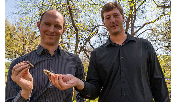 Luke Frishkoff (left) with a prairie lizard and Alexander Murray with a Texas spiny lizard.
