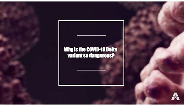 Why is the COVID-19 Delta variant so dangerous?