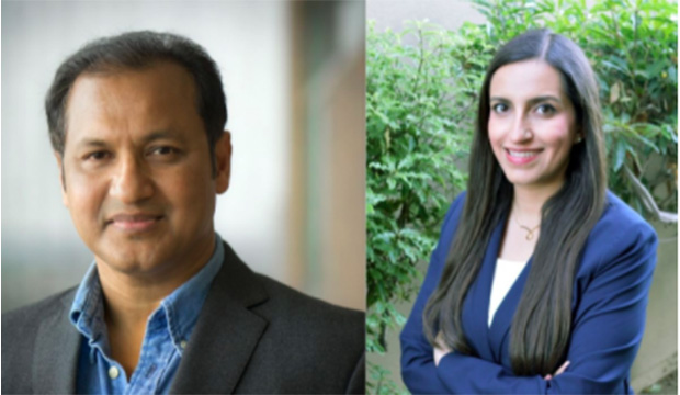 Gautam Das and Shirin Nilizadeh