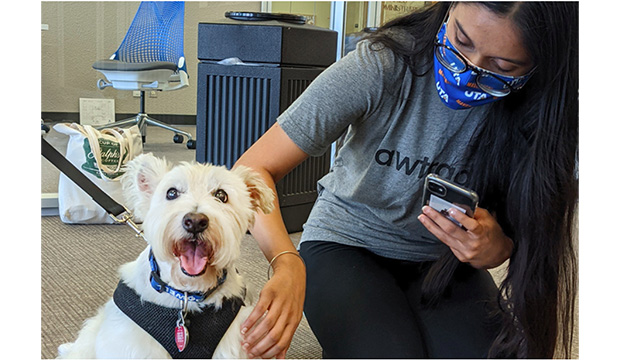 Student petting a small white therapy dog.