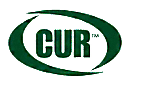 CUR: Council for Undergraduate Research