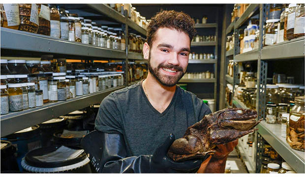 Curator Greg Pandelis with a goliath frog in the amphibians collection room at the Amphibian and Reptile Diversity Research Center.