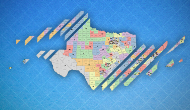 Texas map sliced up representing redistricting.