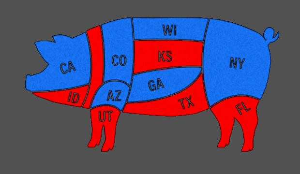 Image of pig marked into section that are red or blue, representing states and budgetary "pork".