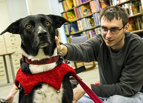 Duchess, Mark Napieralski, Paws for Finals