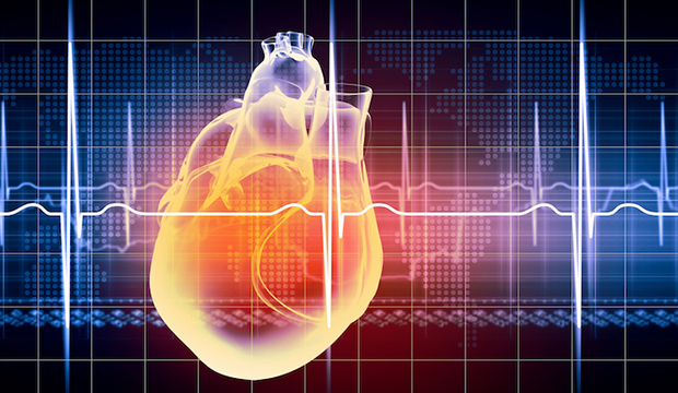 cardiac blood vessels