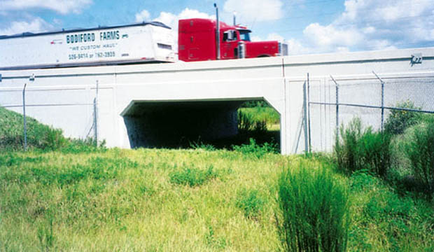 Bridge over an overgrown creek