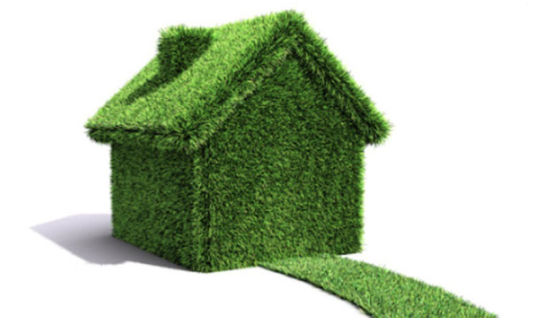 House made of grass to represent environmentally friendly building materials.