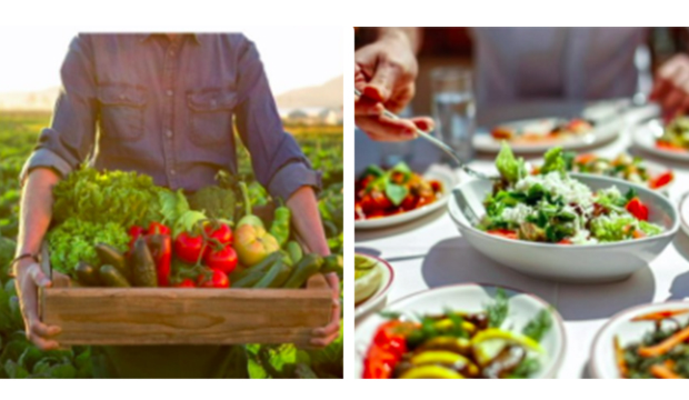 Farm-to-Table image showing farmer with box of vegetables on left and chef adding items to a salad on right.