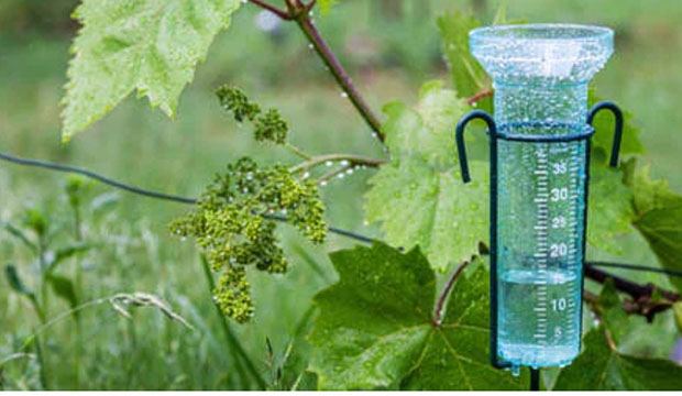 Rain gauge in garden