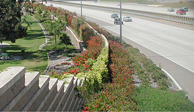 Image of roadside landscaping of greenery, red blooms on bushes, and small trees beside a highway.