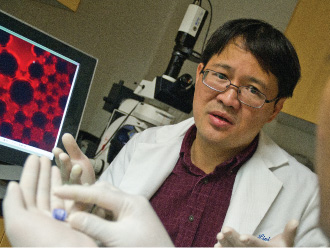 bioengineering Professor Liping Tang