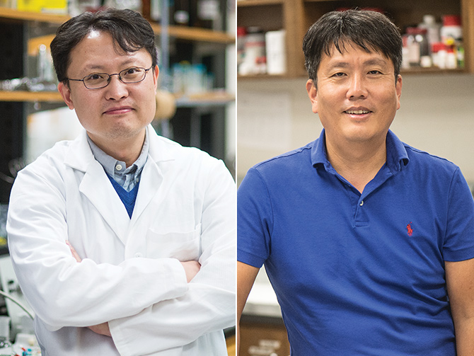 Associate Professor Hyeok Choi and chemistry Associate Professor Junha Jeon