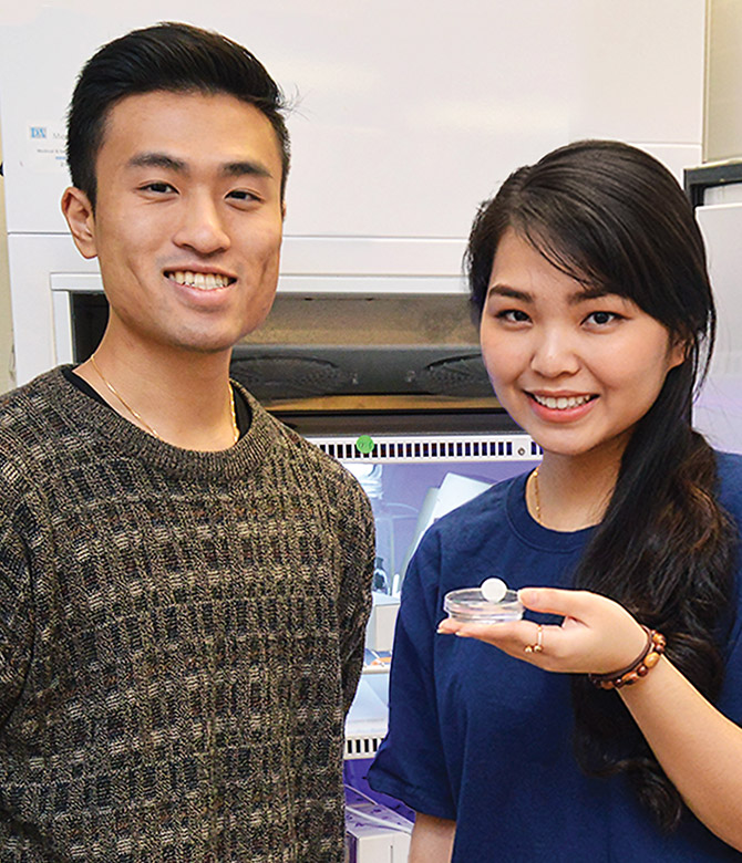 Dustin Luu and Hillary Vo were lead authors on a peer-reviewed article as undergraduates.