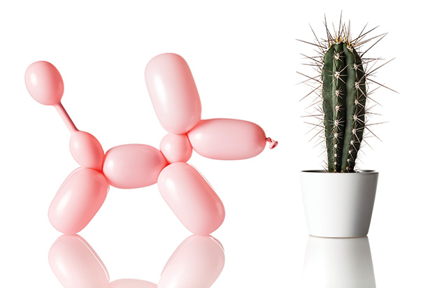 A balloon animal and a cactus