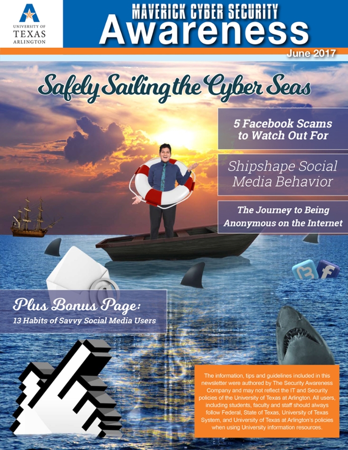 Safely Sailing the Cyber Seas