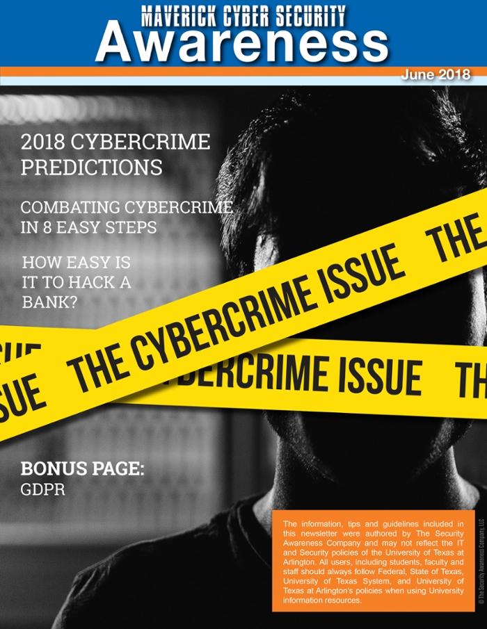 The Cybercrime Issue