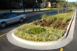 new median on Greek Row