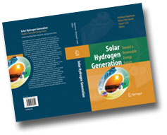 cover of Rajeshwar's book