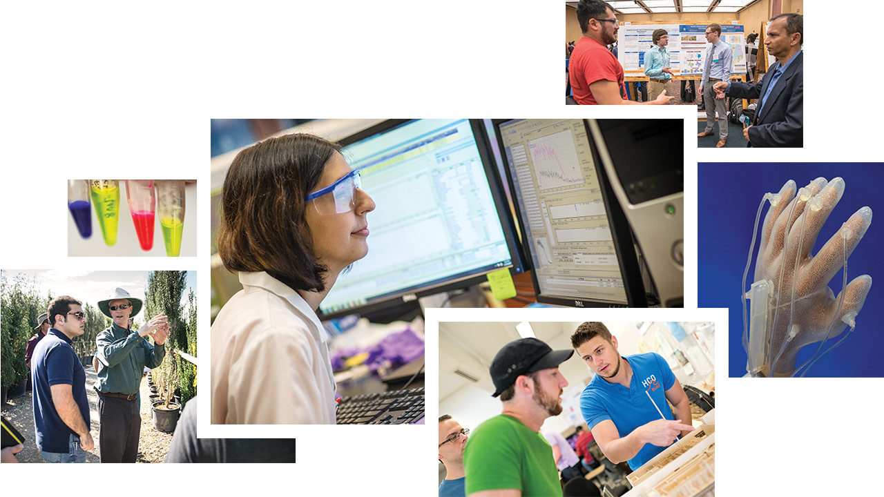 Researchers and students