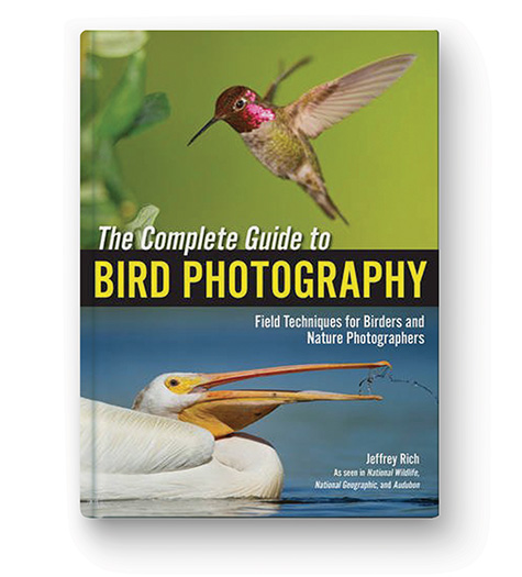 THE COMPLETE GUIDE TO BIRD PHOTOGRAPHY