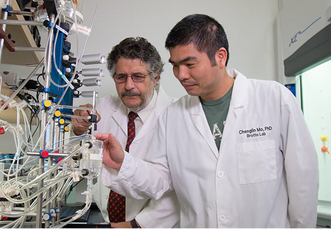 Marco Brotto and Chenglin Mo at work in the lab.