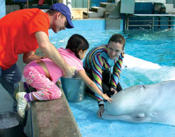 Robyn Cox lets child pet beluga whale at SeaWorld San Antonio