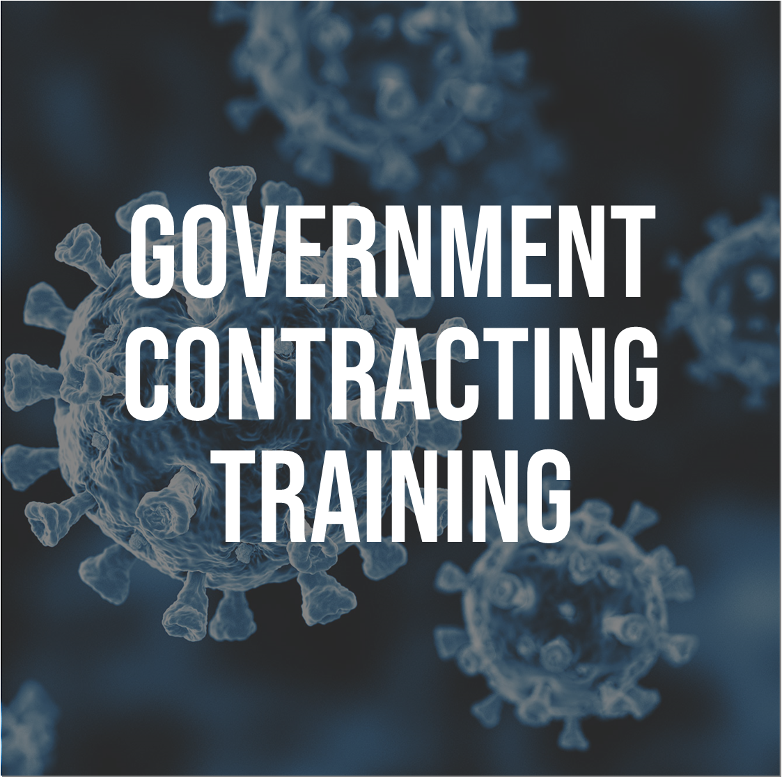 government-contracting